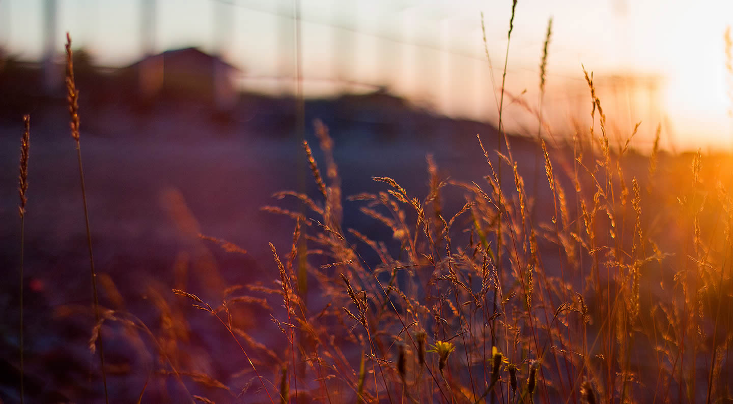 Convenient Grande Prairie location